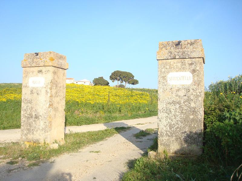 Agriturismo Tenuta Stoccatello Menfi Εξωτερικό φωτογραφία