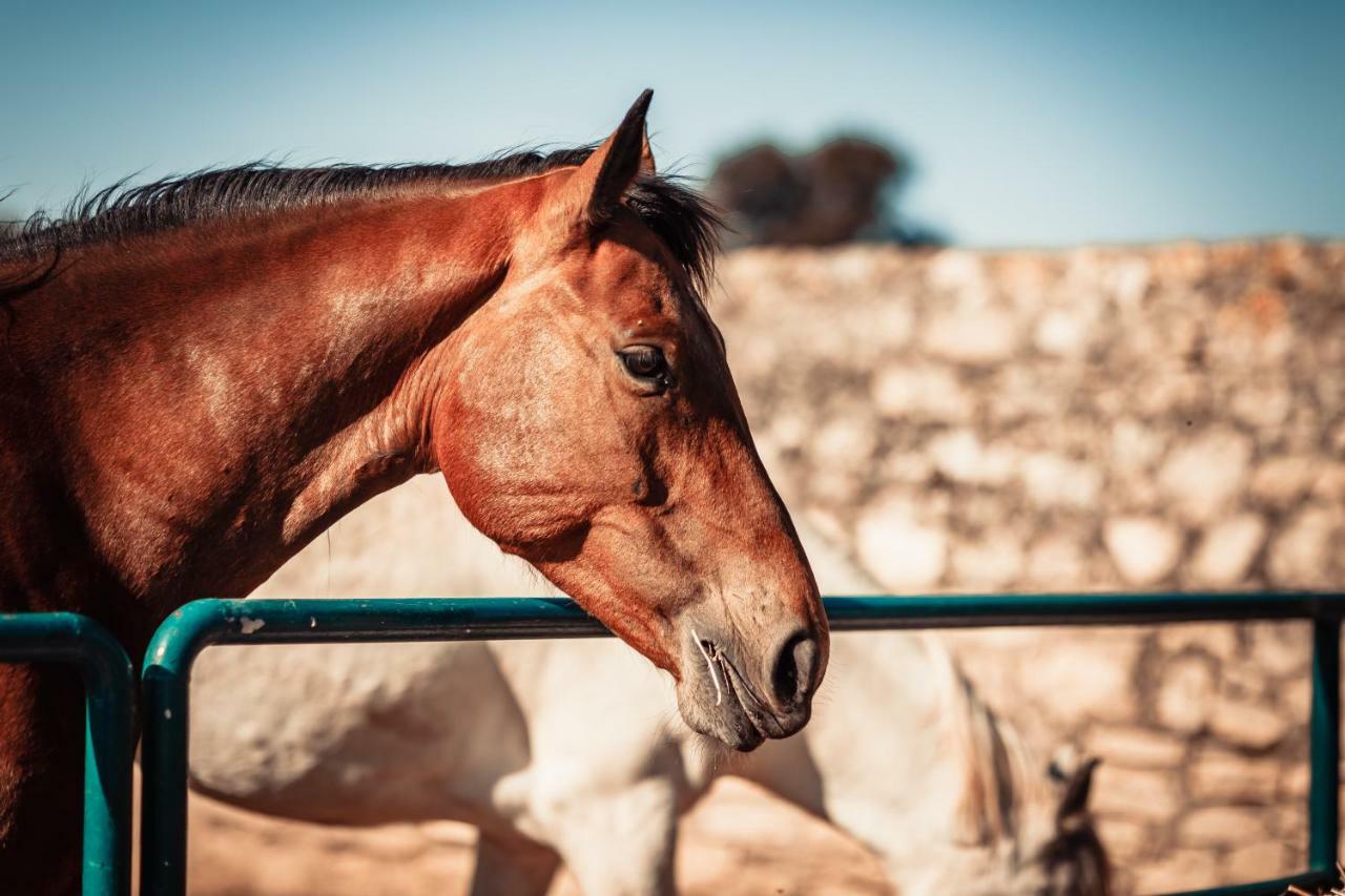 Agriturismo Tenuta Stoccatello Menfi Εξωτερικό φωτογραφία