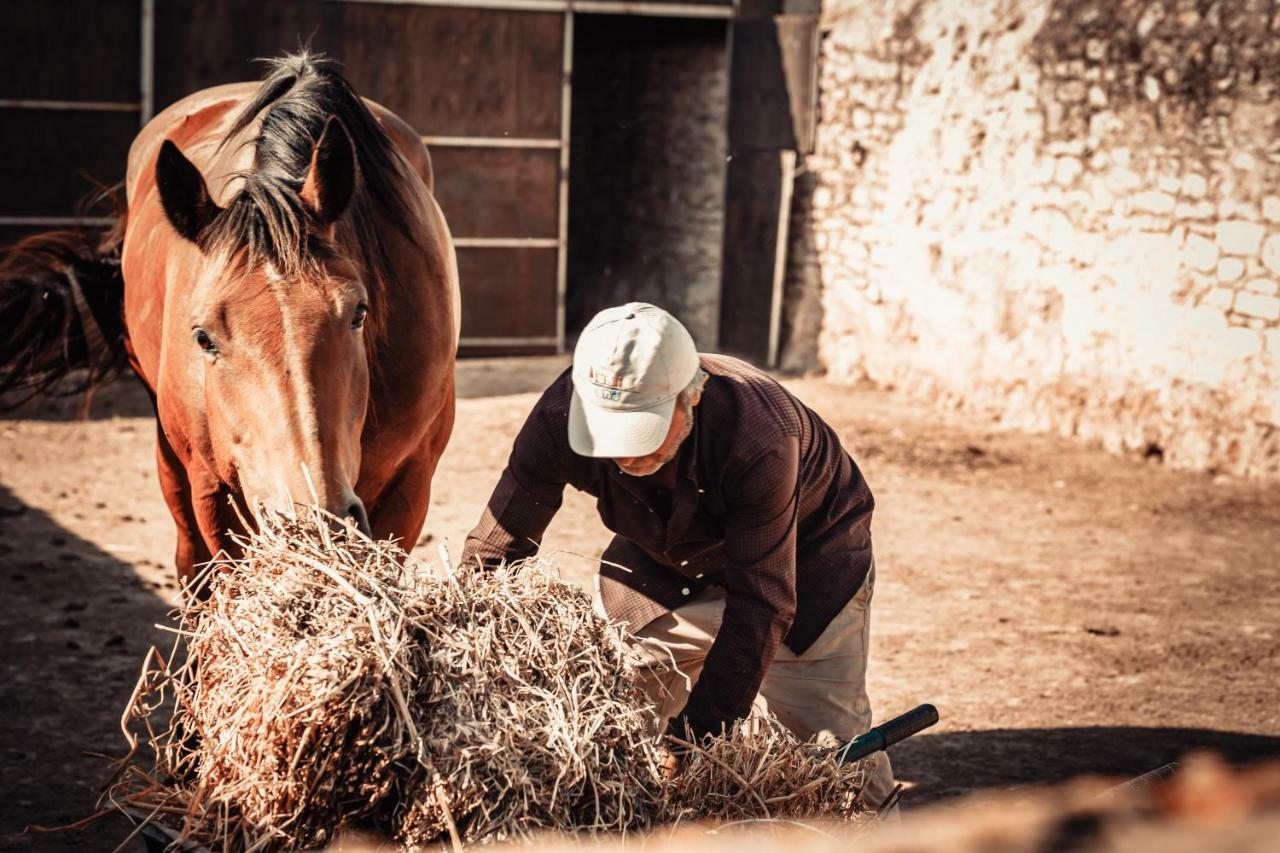 Agriturismo Tenuta Stoccatello Menfi Εξωτερικό φωτογραφία