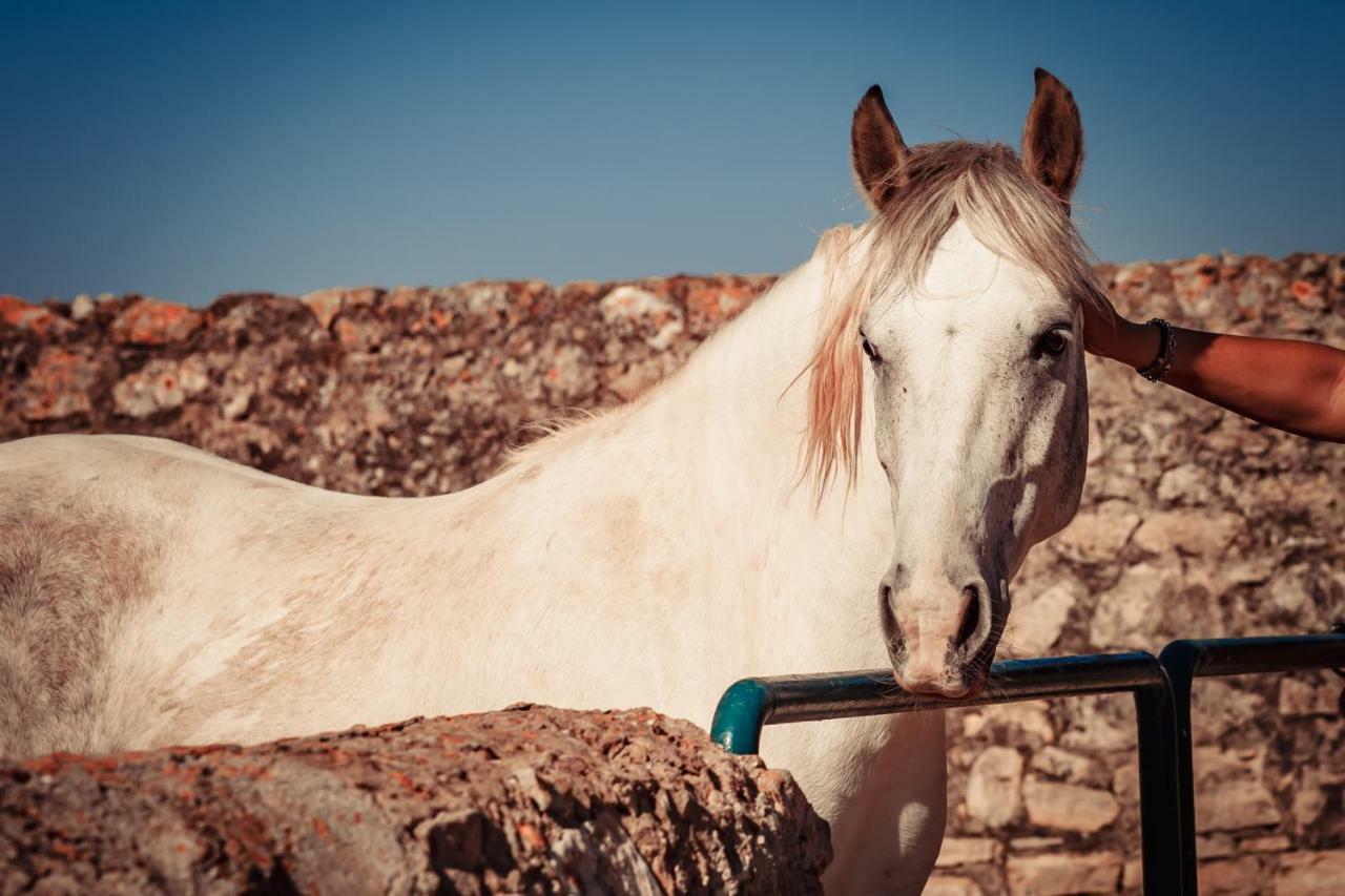 Agriturismo Tenuta Stoccatello Menfi Εξωτερικό φωτογραφία