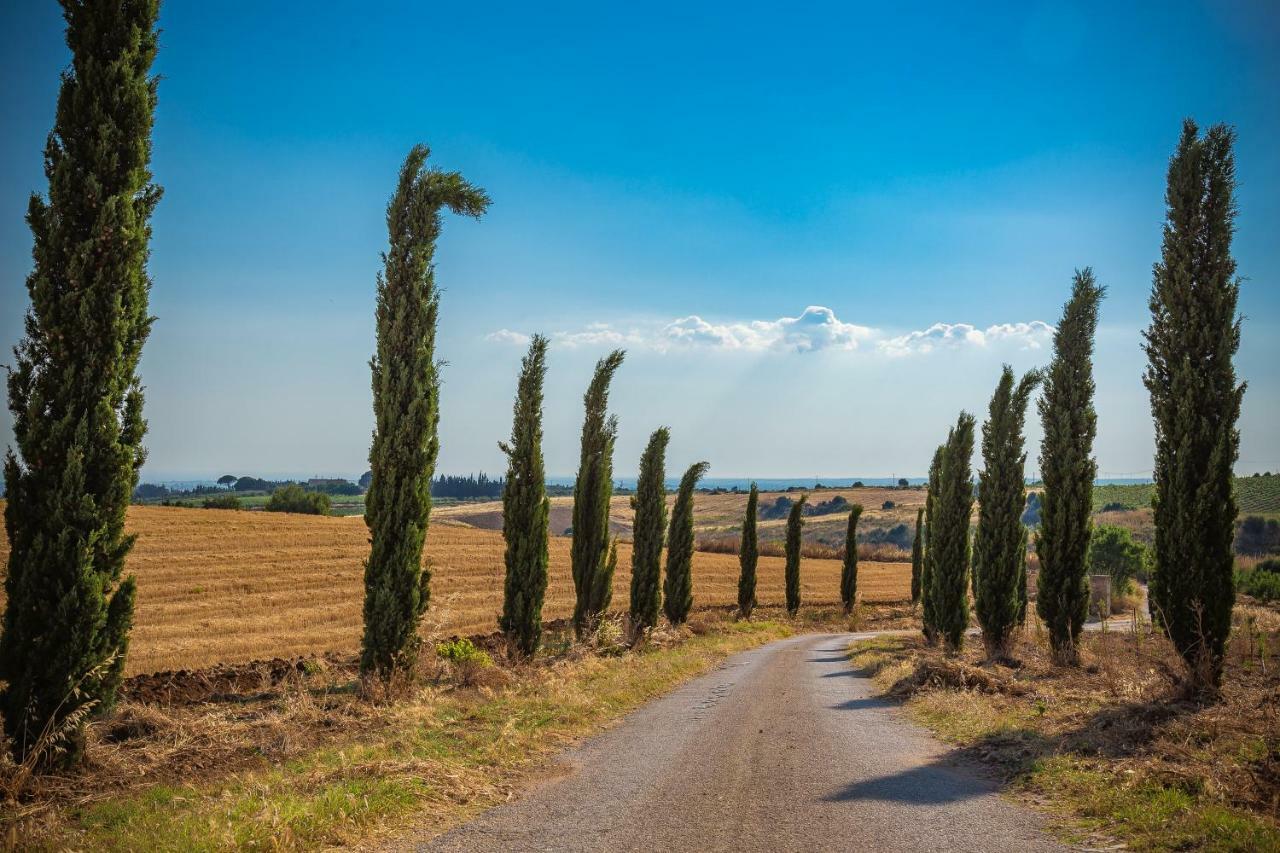 Agriturismo Tenuta Stoccatello Menfi Εξωτερικό φωτογραφία